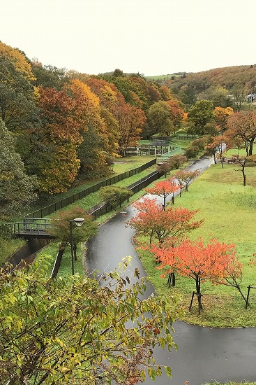 北公園の秋風景 Muroran便り