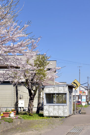 番外編（桜めぐり　2012　御崎のバス停）