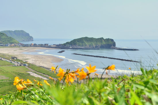 番外編（エゾカンゾウ咲くイタンキ浜）