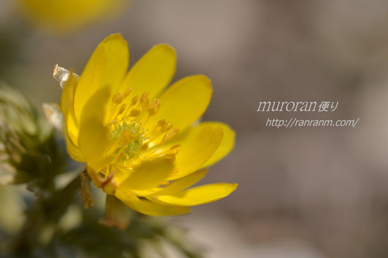 D70_9390[1]