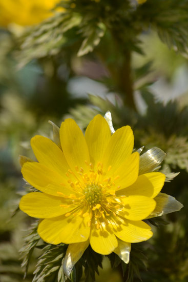 D70_9393[1]