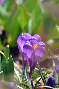D70_9431[1]