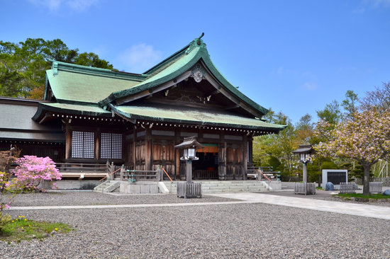 八幡さんのツツジ