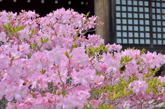 D70_0628[1]