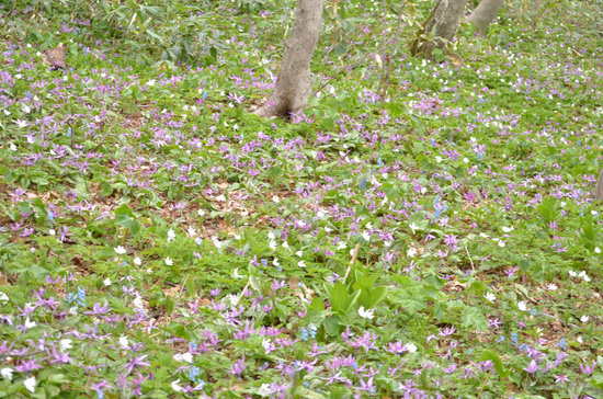 D70_9709[1]