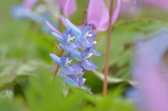 D70_9774[1]