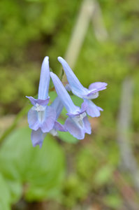 D70_9809[1]