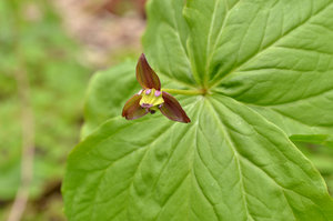 D70_9833[1]