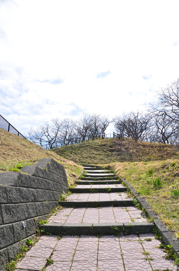 D70_9874[1]
