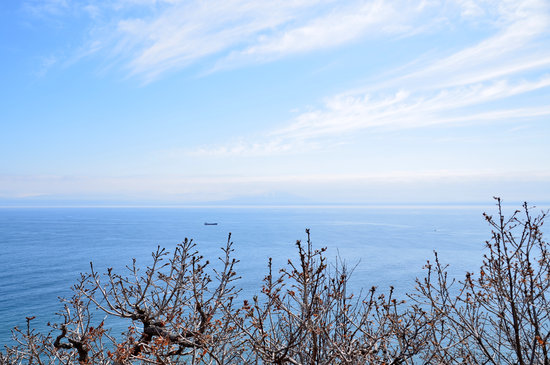 D70_9877[1]