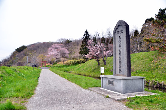 今年の桜めぐり　ロケハンあれこれ
