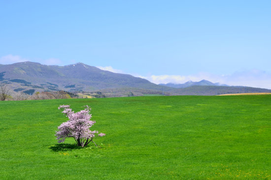 D70_0605[1]