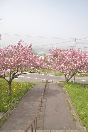 D70_0644[1]