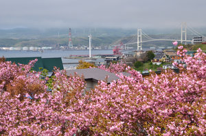 D70_0951[1]