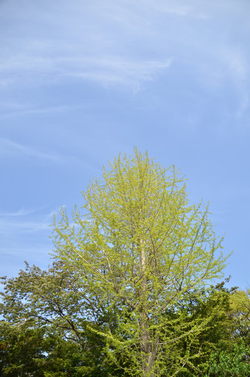 D70_1013[1]