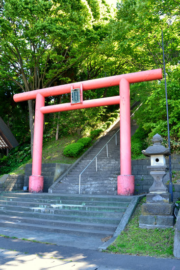 本輪西神社のツツジ