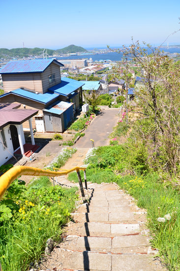 D70_1349[1]