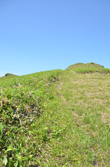 D70_1807[1]