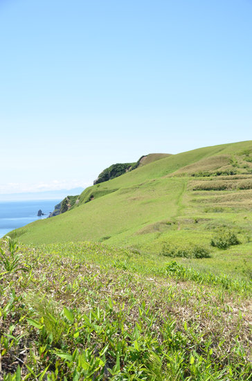D70_1815[1]