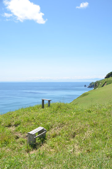 D70_1818[1]