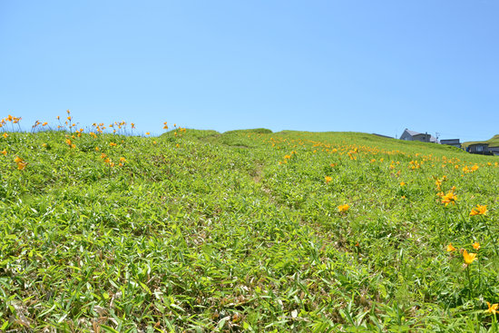 D70_1847[1]