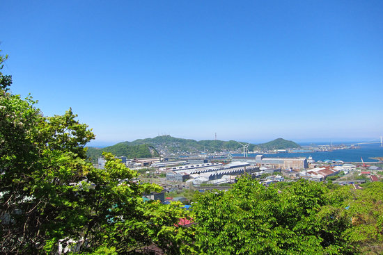 最近の散歩　（観光道路から下へ）