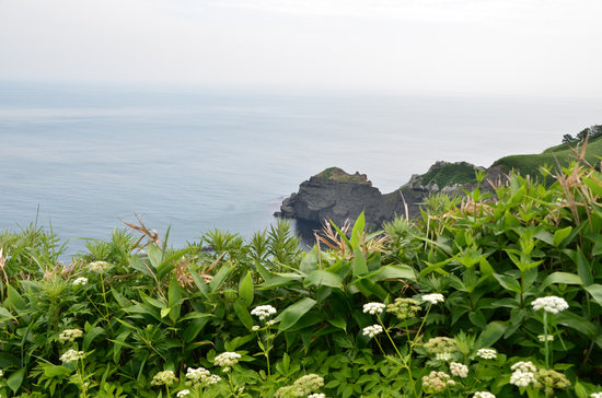 D70_2115[1]
