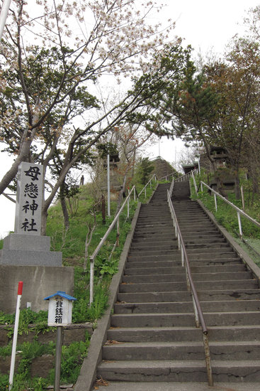 最近の散歩　（母恋南町付近）　後編