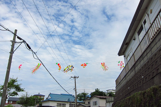 IMG_6392[1]