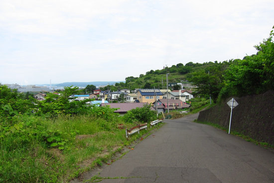 IMG_6406[1]
