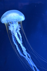 D70_2212[1]
