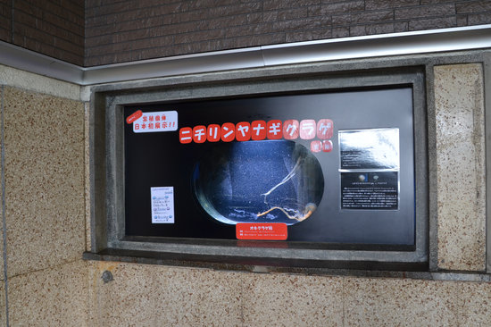 D70_2309[1]