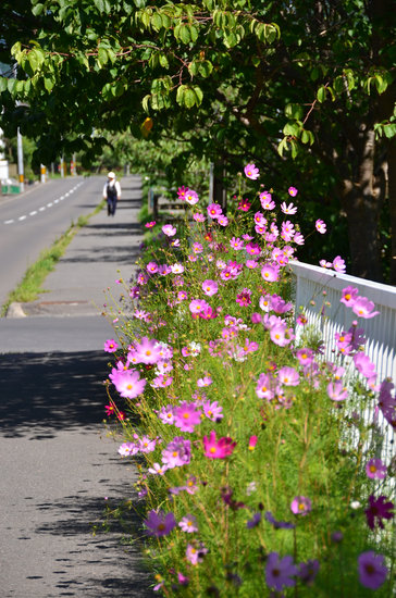 D70_3025[1]