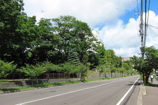 最近の散歩（高砂町へ）