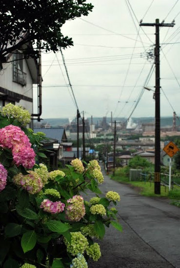 CSC_5713[1]
