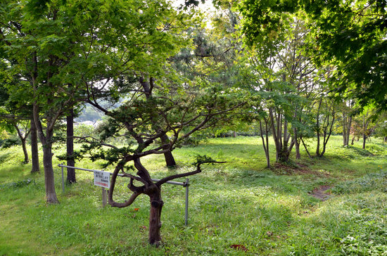 D70_3308[1]