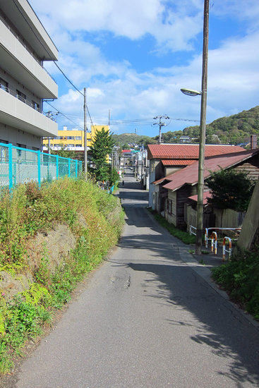 IMG_6915[1]