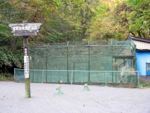 室蘭市家禽野鳥園