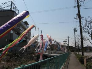 鯉のぼり　2007