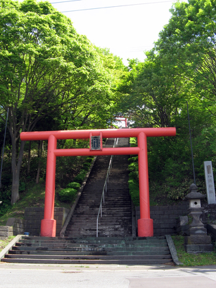 本輪西神社のツツジ