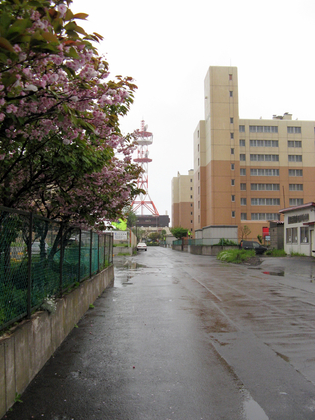 5月30日　曇りのち 冷たい雨