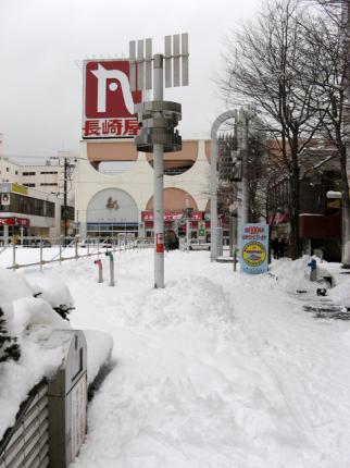 大雪・・・そして翌日。