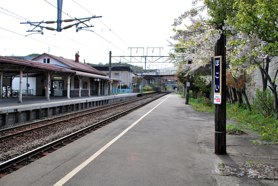 桜めぐり　2011　（母恋駅）
