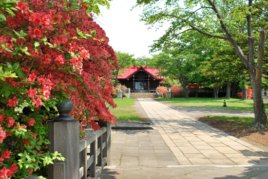 御傘山神社のツツジ