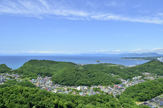 お休みします