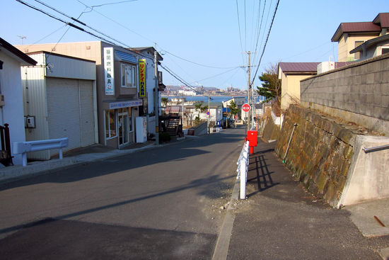 最近の散歩（西小路の坂から日本一の坂へ）