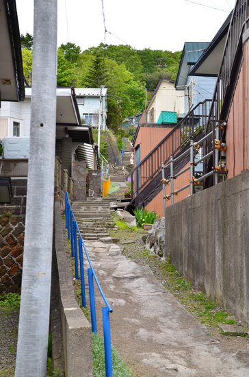 D70_0752[1]