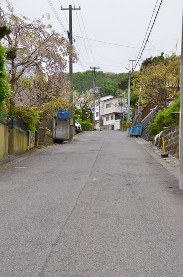 D70_0757[1]