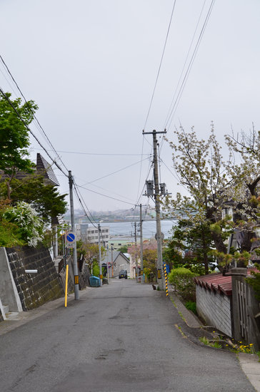 D70_0761[1]