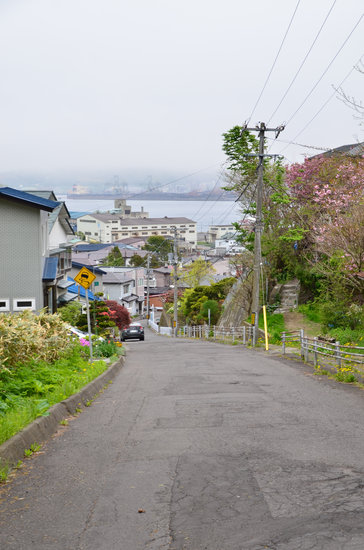 D70_0769[1]